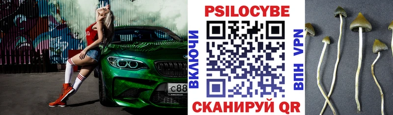 Псилоцибиновые грибы Magic Shrooms  купить  сайты  Лагань 